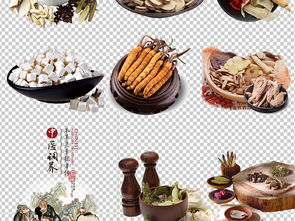 古代中醫養生之旅 解鎖中藥靈感與視覺模板寶庫